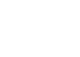 Epic Megagrant Award