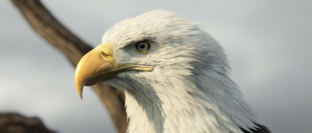 Assassin’s Creed III