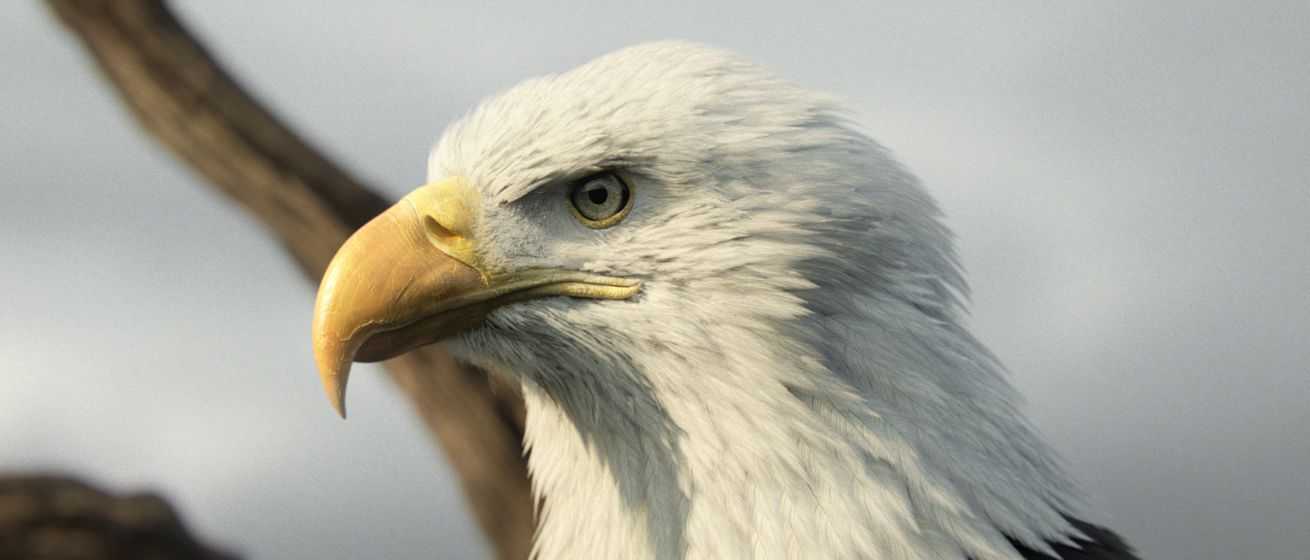 Assassin’s Creed III